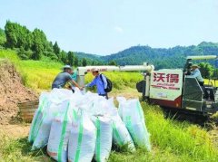 给定点帮扶村带来的新、新行动和